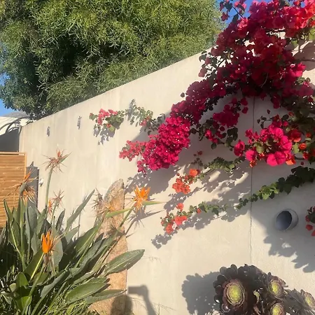Apartament U Chjucu Ortu Di Calinzana - Le Petit Jardin